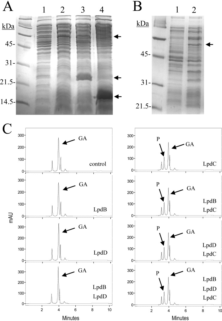 Fig 3