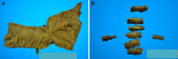 Fig. 3