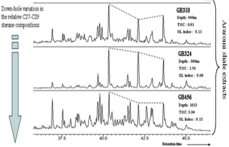 Fig. 10