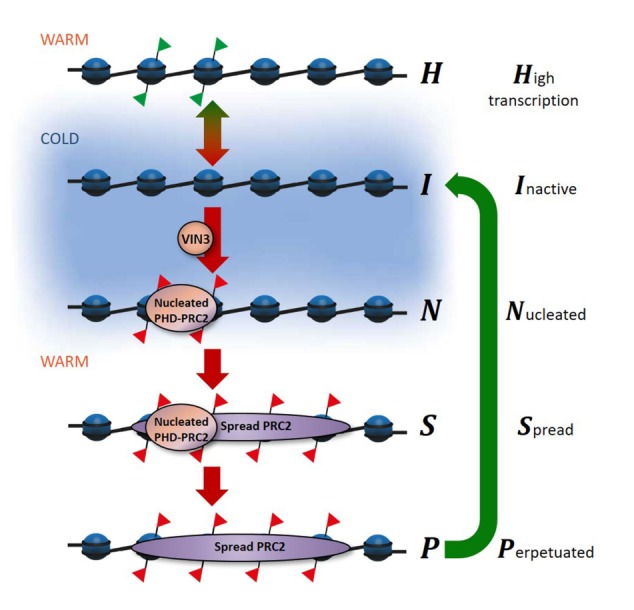 Figure 4.