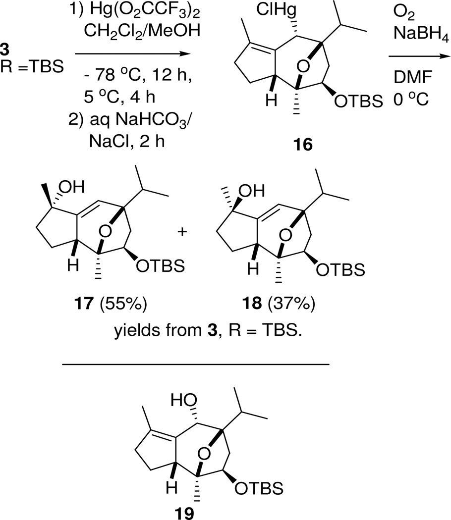 Scheme 4