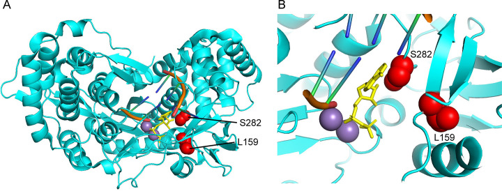 Fig. 6