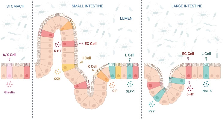 Figure 1.