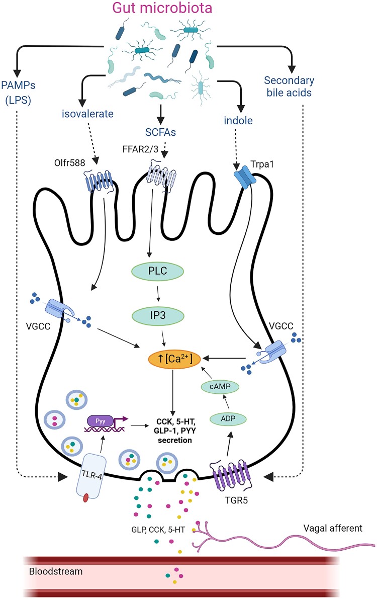 Figure 2.