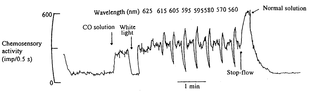 FIG. 1