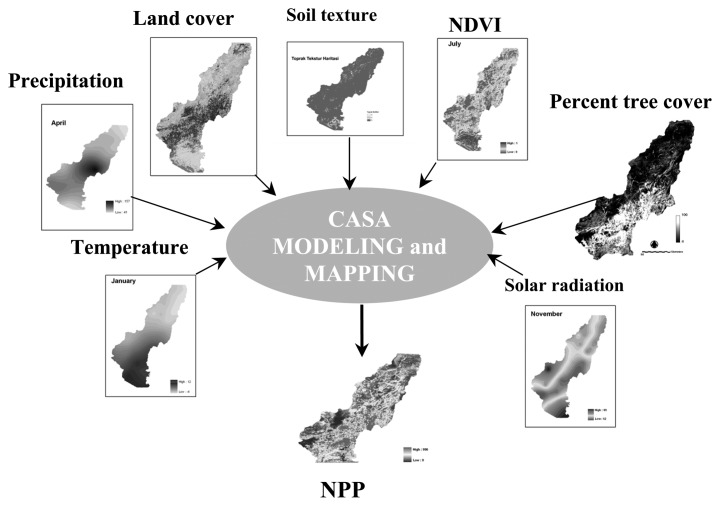 Figure 3.