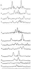 Fig. 13