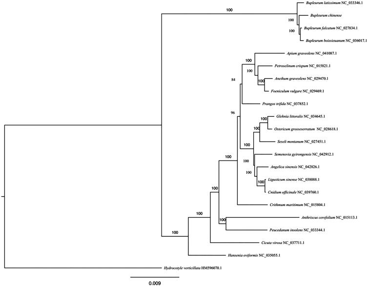 Figure 1.