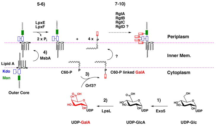 FIGURE 9