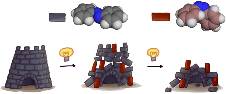 Fig. 1.