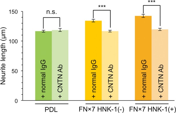 Fig 5