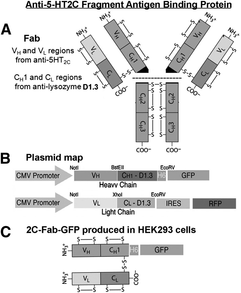 Fig. 1.