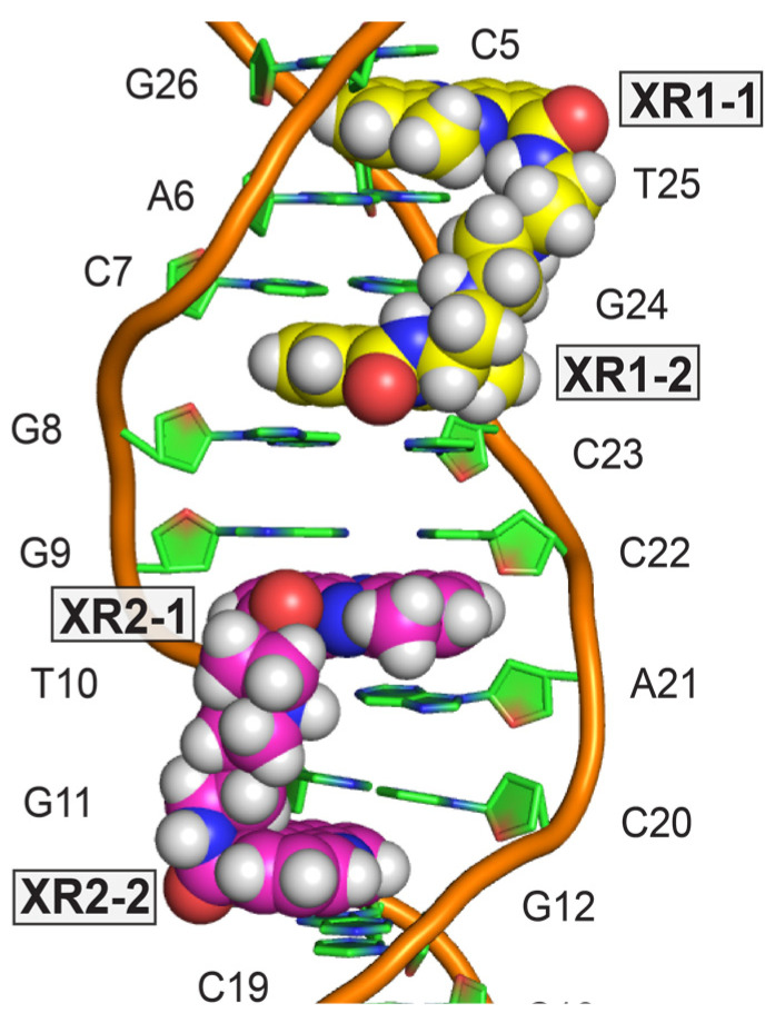 Figure 8