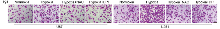 graphic file with name JZhejiangUnivSciB-24-1-32-g002c.jpg