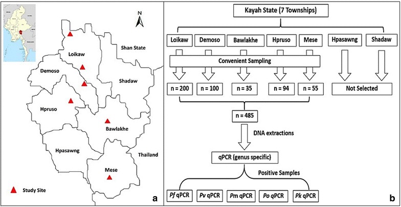 Fig. 1