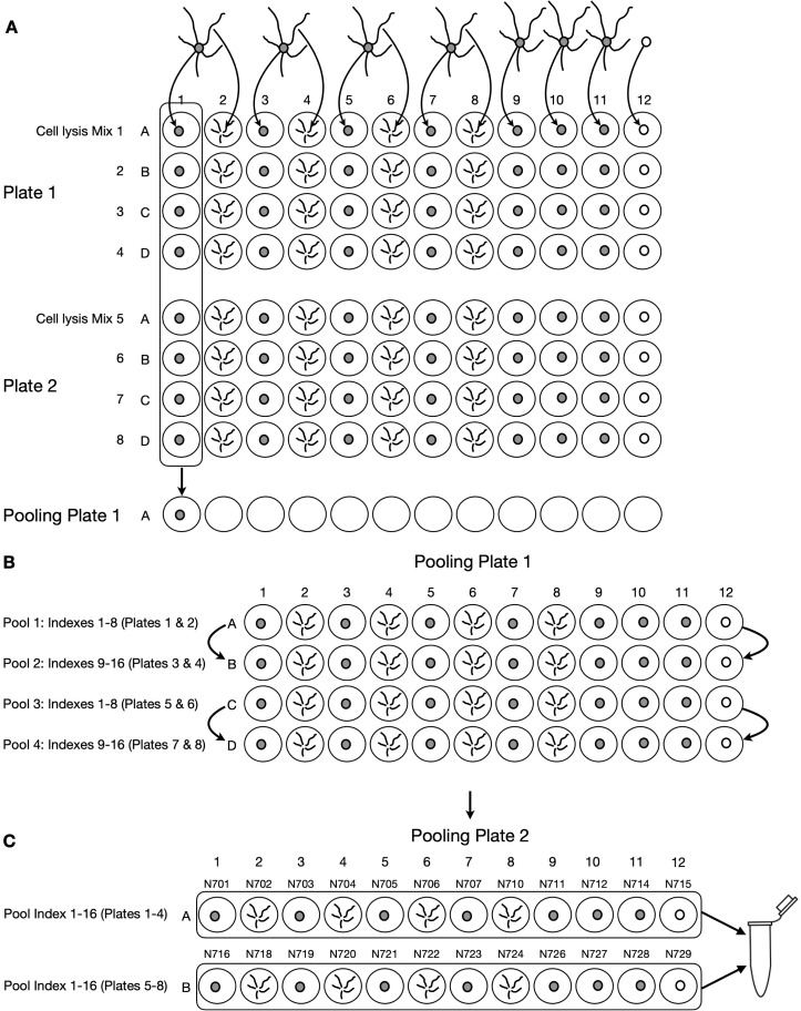 Figure 4.