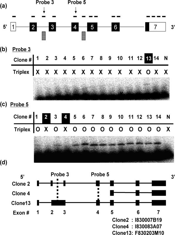 Figure 5