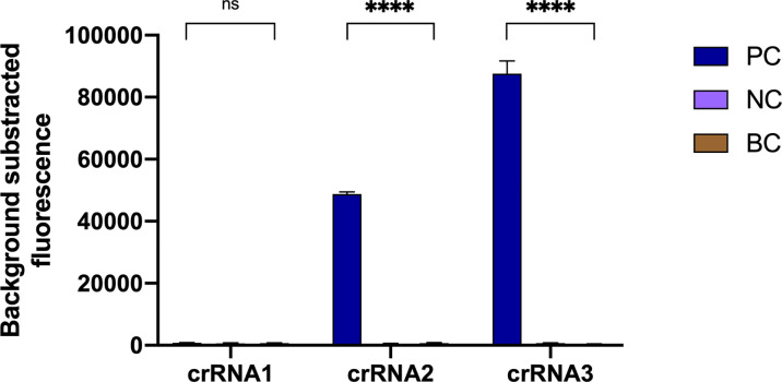 Figure 3