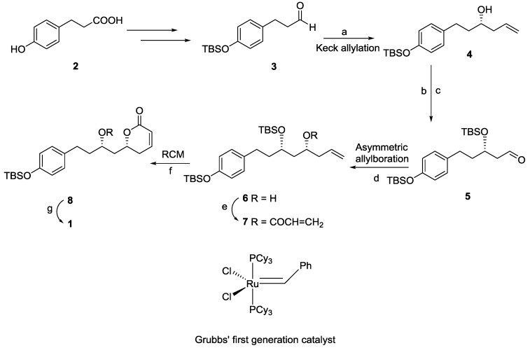 Scheme 1