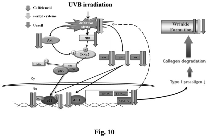 Figure 10