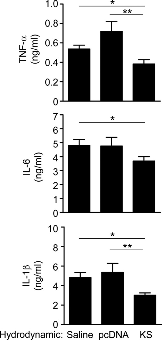 Fig 5