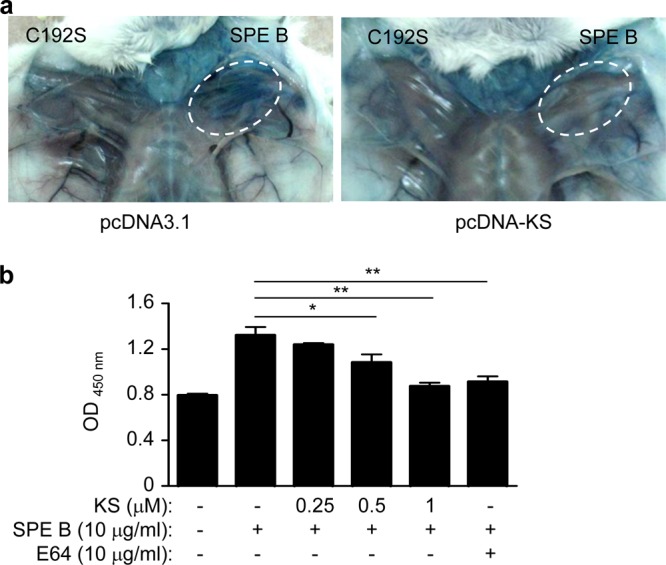 Fig 6