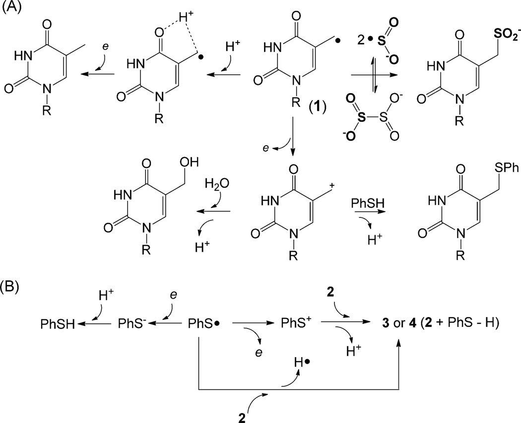 Scheme 3