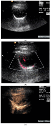 Figure 15