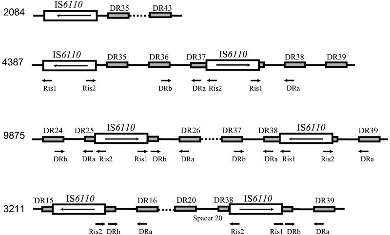 FIG. 2.