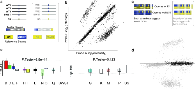 Figure 1.—