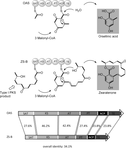 Fig. 5.