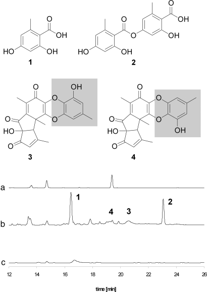 Fig. 4.