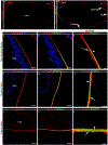 Figure 15.