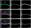 Figure 10.