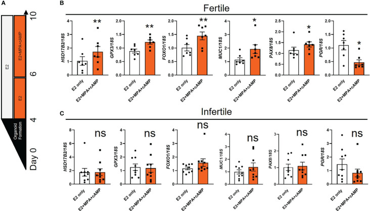 Figure 2