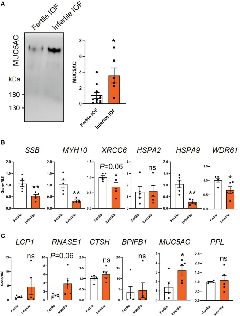 Figure 6