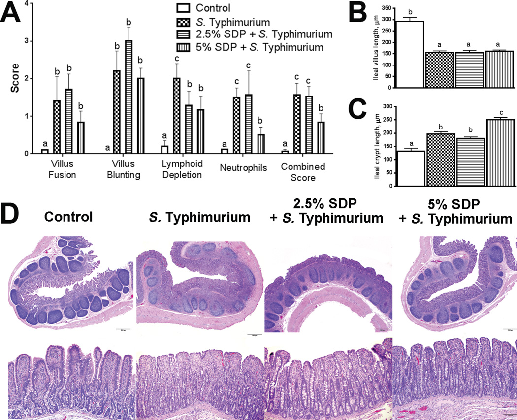 FIGURE 3