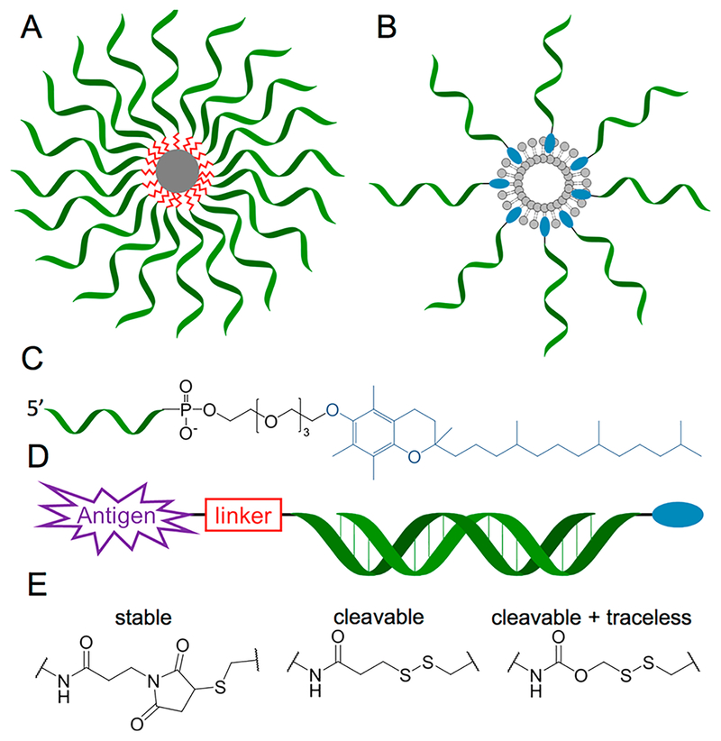 Figure 10.