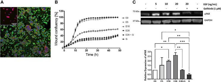 Figure 6