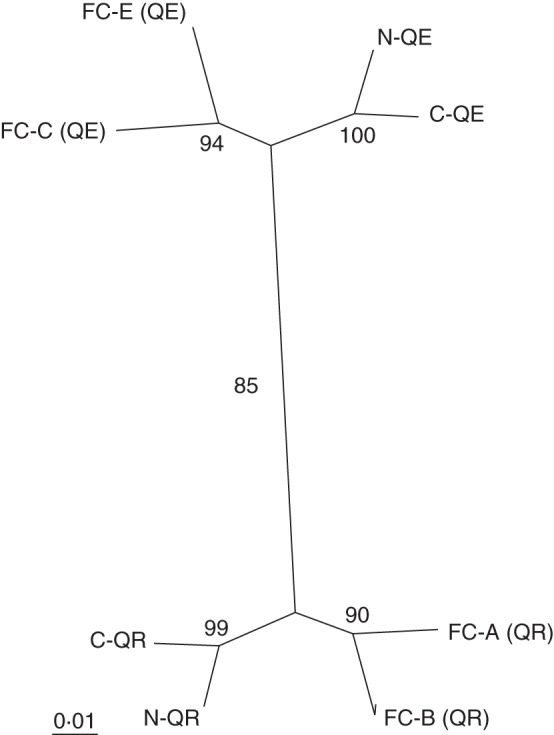 Fig. 2.