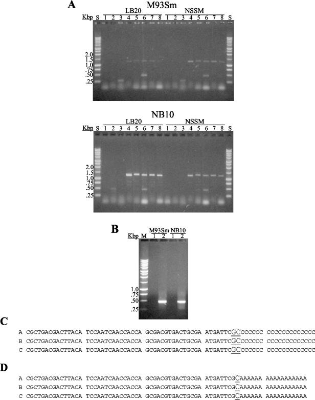 FIG. 4.