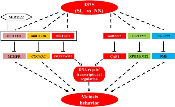 Fig. 10