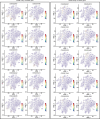 Figure 2—figure supplement 4.