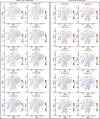 Figure 2—figure supplement 2.