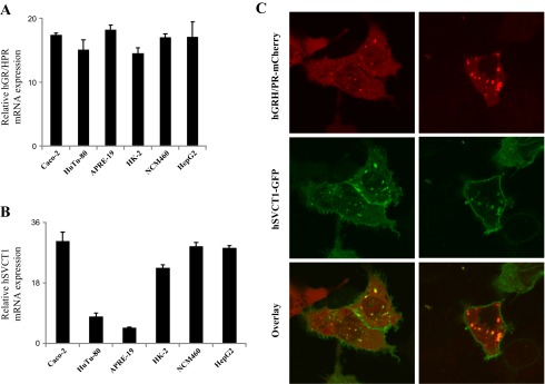 Fig. 3.