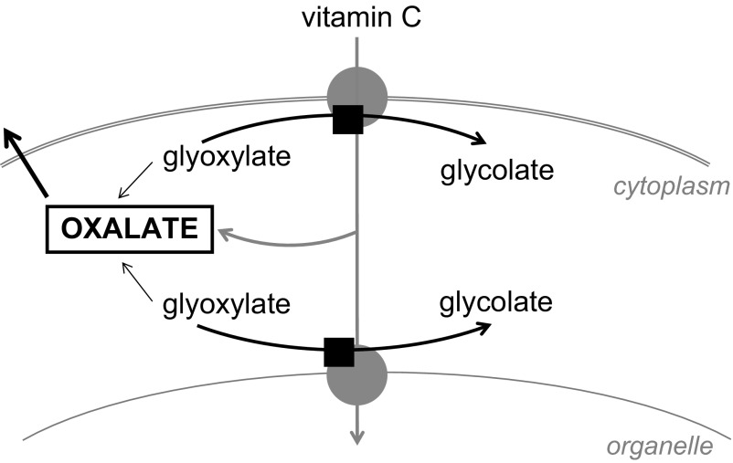 Fig. 5.