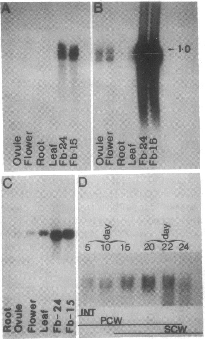 graphic file with name pnas01087-0080-a.jpg