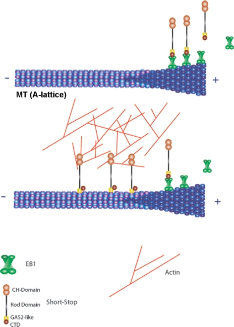 Figure 10.