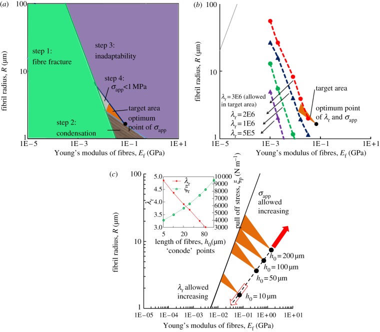 Figure 5.