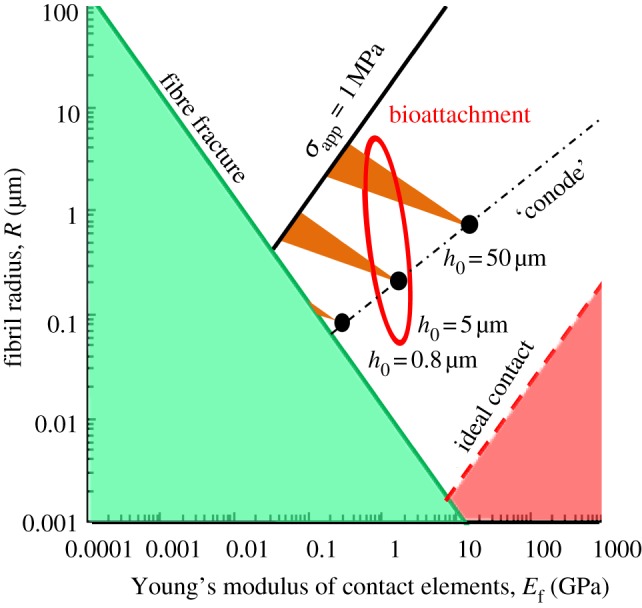 Figure 6.